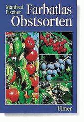 Farbatlas Obstsorten von Manfred Fischer | Buch | Zustand sehr gutGeld sparen & nachhaltig shoppen!