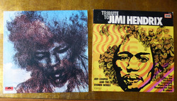2 LP / Schallplatten : Jimi Hendrix - Tribute & The Cry of Love