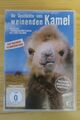 DVD - Die Geschichte vom weinenden Kamel (2003) - Byambasuren Davaa - Mongolei