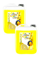 2x 10 L Citrus Waschmittel Flüssigwaschmittel Vollwaschmittel Waschpulver Gel