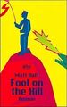 Fool on the Hill von Ruff, Matt | Buch | Zustand sehr gut