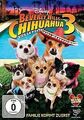 Beverly Hills Chihuahua 3 - Viva la Fiesta! von Lev L. Spiro | DVD | Zustand gut