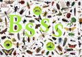 Bsss - Die ganze Welt der Insekten / Dorling Kindersley
