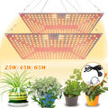 2Stk Pflanzenlampe LED Grow Light Zimmerpflanzen Vollspektrum Wachstumlampe DE