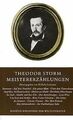 Meistererzählungen von Storm, Theodor | Buch | Zustand gut