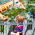 3 Tage Familienurlaub Karlsruhe + Eintritt Zoo & Erlebnisbad | 4* Hotelgutschein