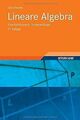 Lineare Algebra: Eine Einführung für Studienanfänger (Gr... | Buch | Zustand gut