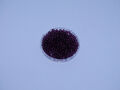 PRECIOSA 20 g Rocailles 11/0 (2,2mm) - FARBAUSWAHL Teil 5 #210-255