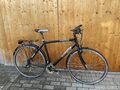 Raleigh Flight Sport Trekkingrad 28 Zoll Shimano LX GOLD SONDEREDITION