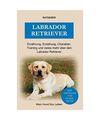 Labrador Retriever: Erziehung, Charakter, Ernährung, Training und einiges mehr 