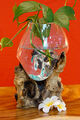 Geschmolzenes Glas auf Wurzelholz Bali Vase Glasschale Blumenvase Teak Holz neu