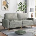 2-Sitzer Sofa Sitzcouch Samtsofa mit Metallbeinen für kleine Räume Grau