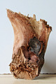 Treibholz Schwemmholz Driftwood 1 knorrige    Skulptur Basteln Dekoration 23 cm