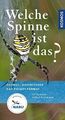 Welche Spinne ist das?: Kosmos Basic (Kosmos-Naturf... | Buch | Zustand sehr gut