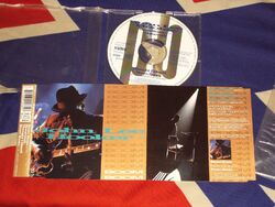 JOHN LEE HOOKER - boom boom  4 trk MAXI CD 1992