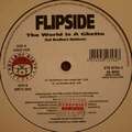 Flipside - The World Is A Ghetto Sol Brothers Remixes 12" Vinyl S