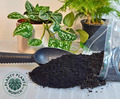 Aktivierte und aufgeladene Bio-Pflanzenkohle - Ultimativer Bodenverbesserer 