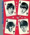 Here Come the Beatles: Story of a Generation von Skira (Hardcover, 2008)