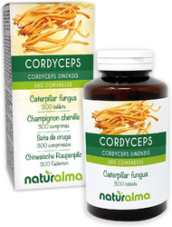 Cordyceps Oder Chinesische Raupenpilz Pilz | 150 G | 300 Stk Á 500 Mg | Vegan