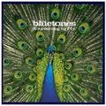 THE BLUETONES - EXPECTING TO FLY  CD  11 TRACKS BRIT-POP / ROCK  NEU