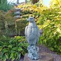 Adler Greifvogel Raubvogel  Gartenfigur Steinfigur Dekoration