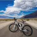 250w Elektrofahrrad 26 Zoll E-bike Mountainbike 21Gang E City Bike Unisex