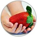 Riesenerdbeeren - Fragaria Ananassa - Erdbeersamen - 50 Samen - Größte Erdbeere 