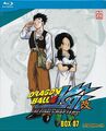 Dragonball Z Kai: Box 7 - Episoden 99-114 [2 Discs]