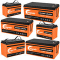 12V 300Ah 200Ah 100Ah 50Ah 30Ah Lithium Batterie LiFePO4 Akku BMS für Wohnmobil
