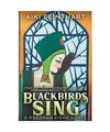 Blackbirds Sing: A Ruadhan Sidhe Origin Story, Aiki Flinthart
