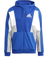 Adidas ESS Colorblock Hoody Gr 3XL / XXXL NEU Sweatshirt Hoodie Kapuzen-Pullover