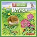 Natur-Memo Wiese | Quelle & Meyer Natur-Memo | Quelle & Meyer Verlag GmbH | 2017