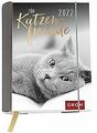 Für Katzenfreunde 2022: Wochenkalender mit 12 Postk... | Buch | Zustand sehr gut