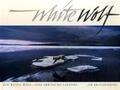 White Wolf | Jim Brandenburg | Der weisse Wolf, eine arktische Legende | Buch