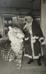 Foto - Berlin Tiger mit Weihnachtsmann , 220524-6
