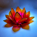 Windlicht aus Capiz Muscheln, Lotus Blüte pink gelb 11 inkl. LED Teelicht