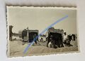 altes orig. s/w Foto Strandkorb am Meer Ostsee Vintage Urlaub um 1930