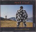 PINK FLOYD "Delicate Sound Of Thunder" 2CD-Album
