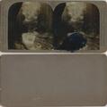 Watkins Glen,New York Rainbow Falls,  Waterfall Kabinettfoto 1901  Stereoskopie