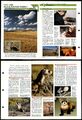 Save The Black-Footed Frettchen #55 Conservation Wildlife Fact Datei ausklappbare Karte