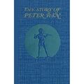 Die Geschichte von Peter Pan - Taschenbuch / Softback NEU Barrie, Sir J.  21/11/2010