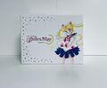 Pretty Guardian Sailor Moon Collector‘s Box (Egmont Manga) 1-12 + Kalender RAR