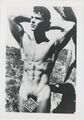 VINTAGE männlich Aktfoto Modell 1960er/70er Jahre Mann männlich Physique Homosexuell (A)