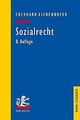 Sozialrecht von Eichenhofer, Eberhard | Buch | Zustand gut