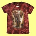 Kinder T-Shirt Elefant,Gr. 98*104*110*116*122*128*134*140*146*152,Zoo Afrika