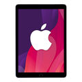 Apple iPad 8 128 GB Flashspeicher 10,1" Wi-Fi Cell space-grey A2429 iOS 14.1