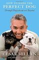How to Raise the Perfect Dog: Through Puppyhoo by Peltier, Melissa Jo 0307461297