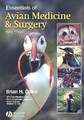 Essentials of Avian Medicine and Surgery Wiley-Blackwell Buch