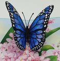 3D Pop Up Geburtstagskarte Blauer Schmetterling auf Blumenwiese 