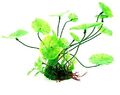 Aquarium-Terrarium Pflanze Grün Froschbiss auf Stein 12cm
